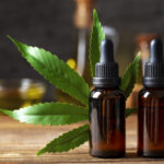 How to Start Trading Crypto in the USA: Beginner’s Guide