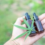 How Technology Is Transforming Sports