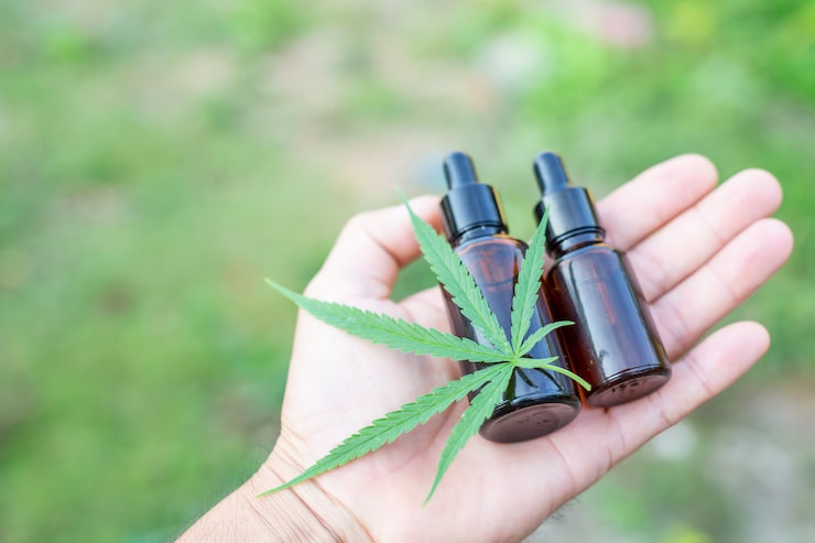 CBD vs Traditional Medicine: What’s the Difference?